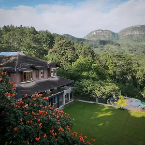 Hotel Dendrobium House